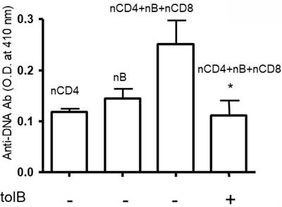 Effects of Peptide-Induced Immune Tolerance on Murine Lupus